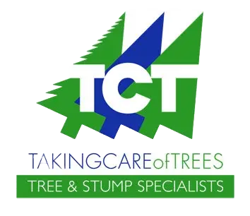 TCT