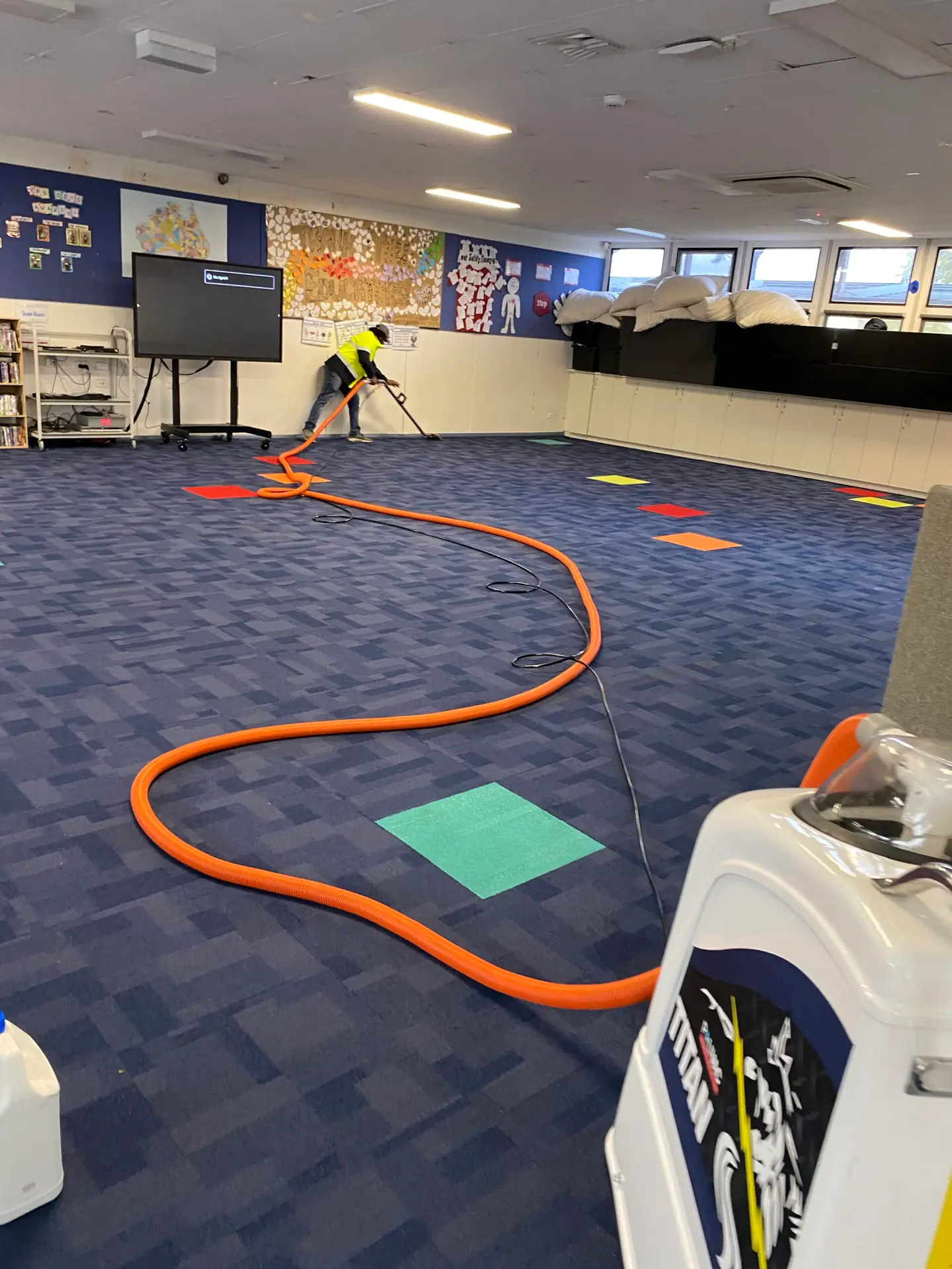 Carpet Cleaning